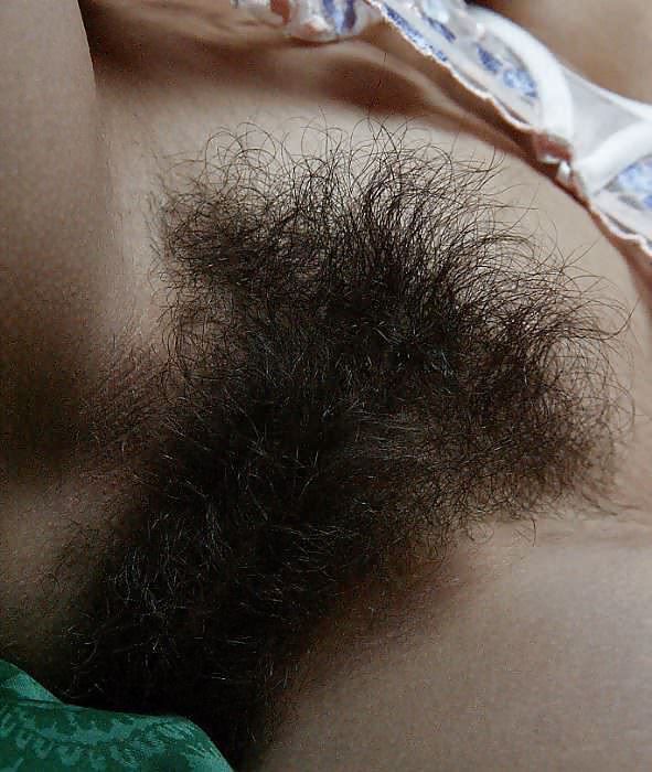 The bushy pussy!