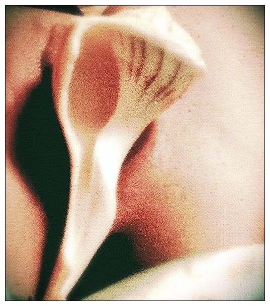 My seashell Between my Legs