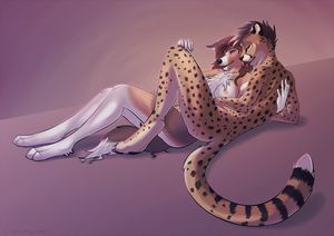sexy furry couple