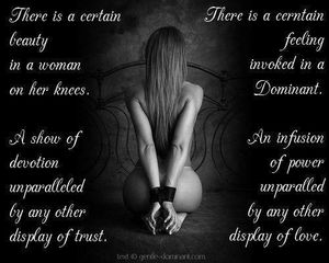 maxbear0625.tumblr.com