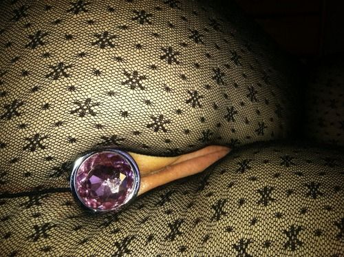 anal plug