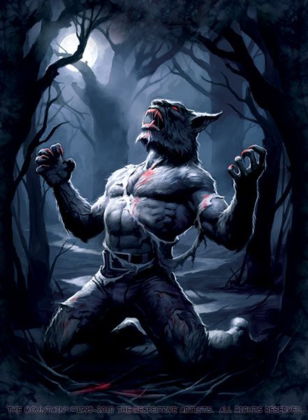 Werewolf Transformation