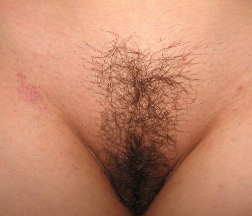 Free Lesbian Sex Pics