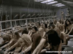 New rowing class at the gym