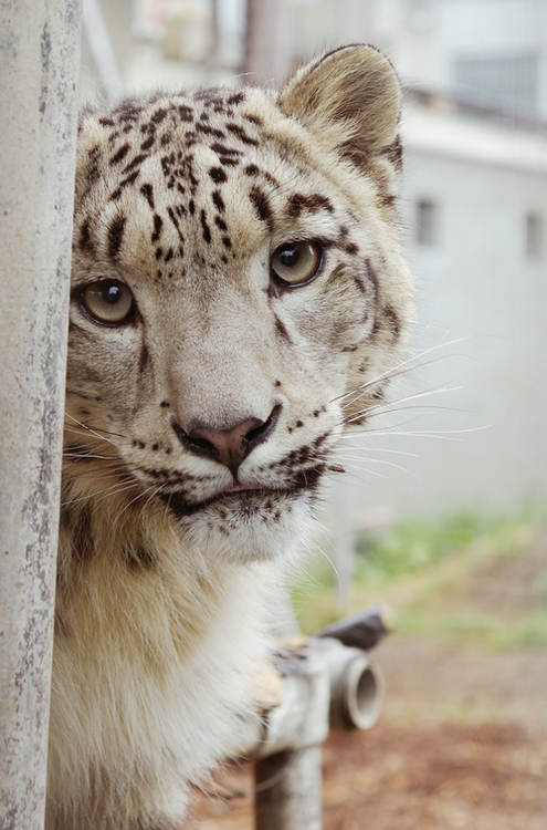 Reblog Photo
