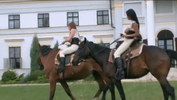 Horses and boobs.
