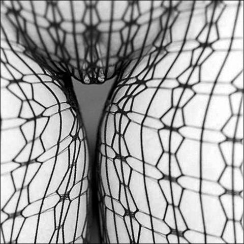 fishnet pussy