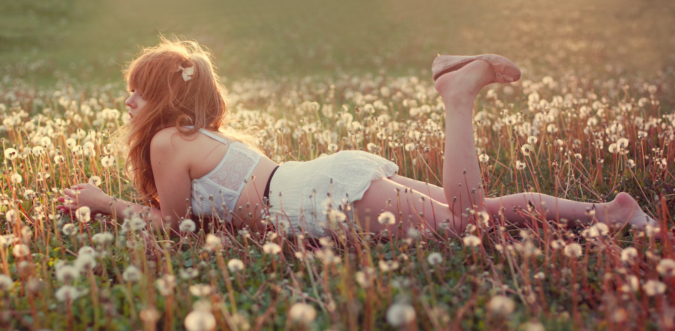 field of dreams