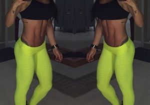 Beautiful Russian Vine Follow this:...