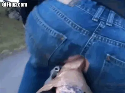 Dildo in her pussy riding bike