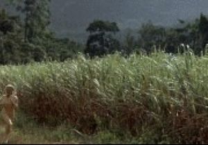 Albanian Riding Pics Follow this:...