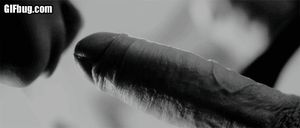 Teen blowjob closeup