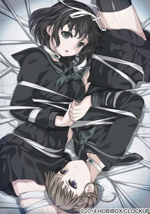 Euphoria HD - Visual Novels