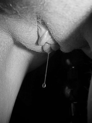 pussy dripping juice