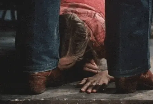 Shoecleaner