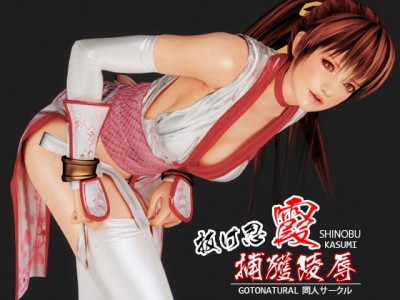 Rogue Ninja Kasumi capture insult 3D Full HD