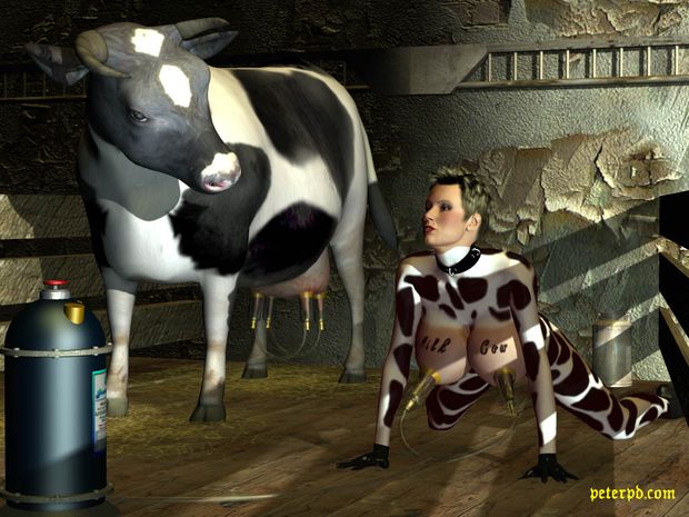New cow