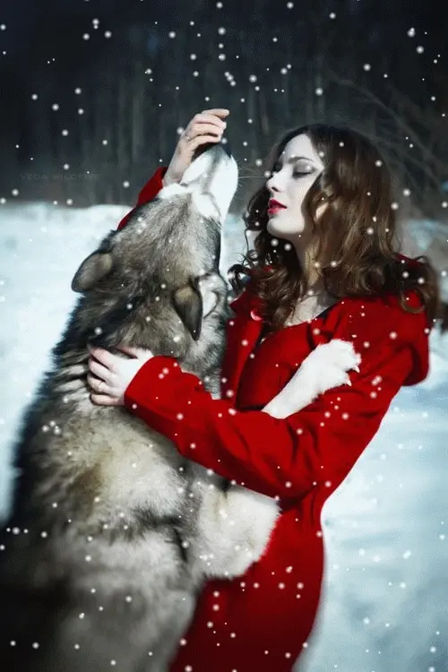 Red Riding Hood meets her Wolf