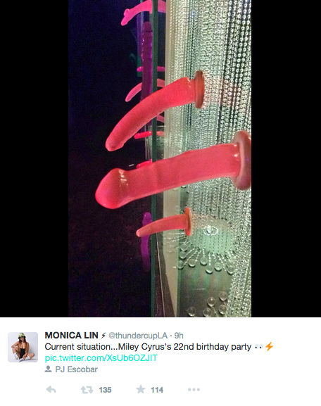 miley cyrus birthday