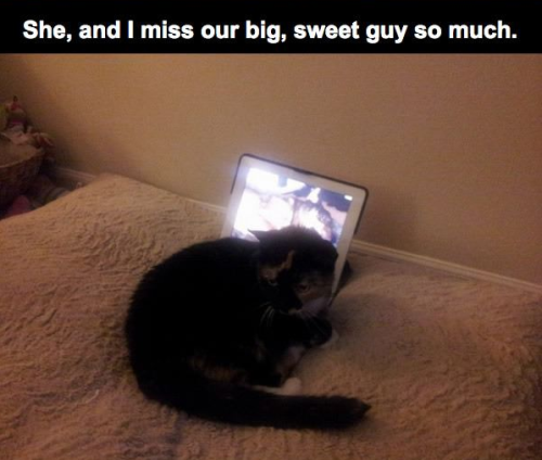 redheadedxqh:

ouijaglitter:

hairstylesbeauty:

Lie Down. Try...