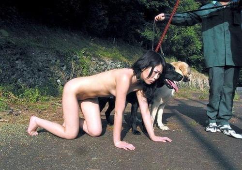 Taking my pets out for a walk