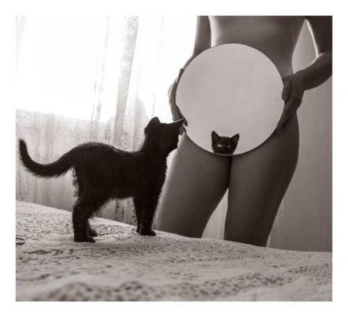 Pussy?