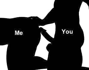 Our Roles
