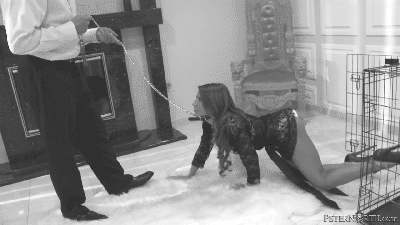 Pet Bitch Gif | Sex.com