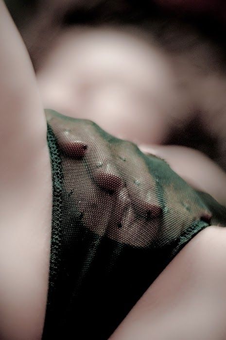 learn more about female orgasms