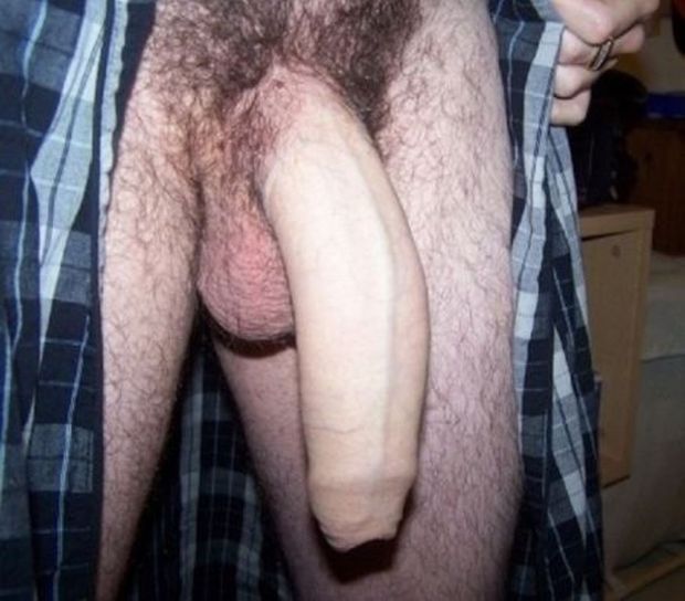 Humongous Animale Cock