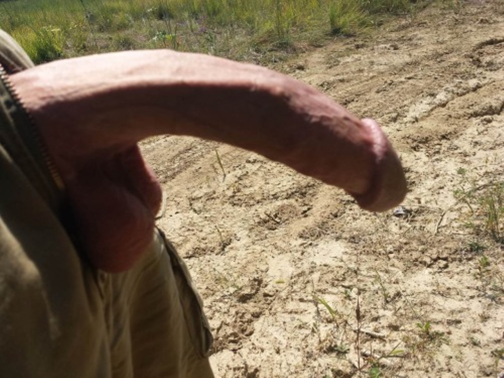 The one eyed Anaconda