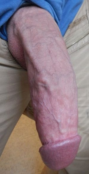 Thick Son of a Bitch