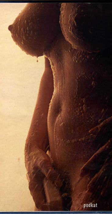 alone boobies nude