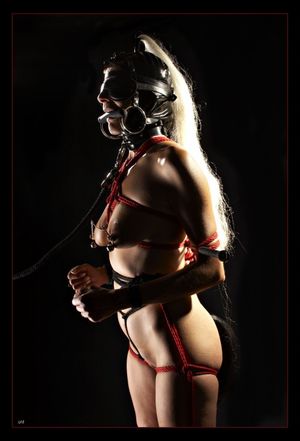 humanpony:a classic bdsm pony girl