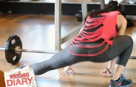 AJ Lee