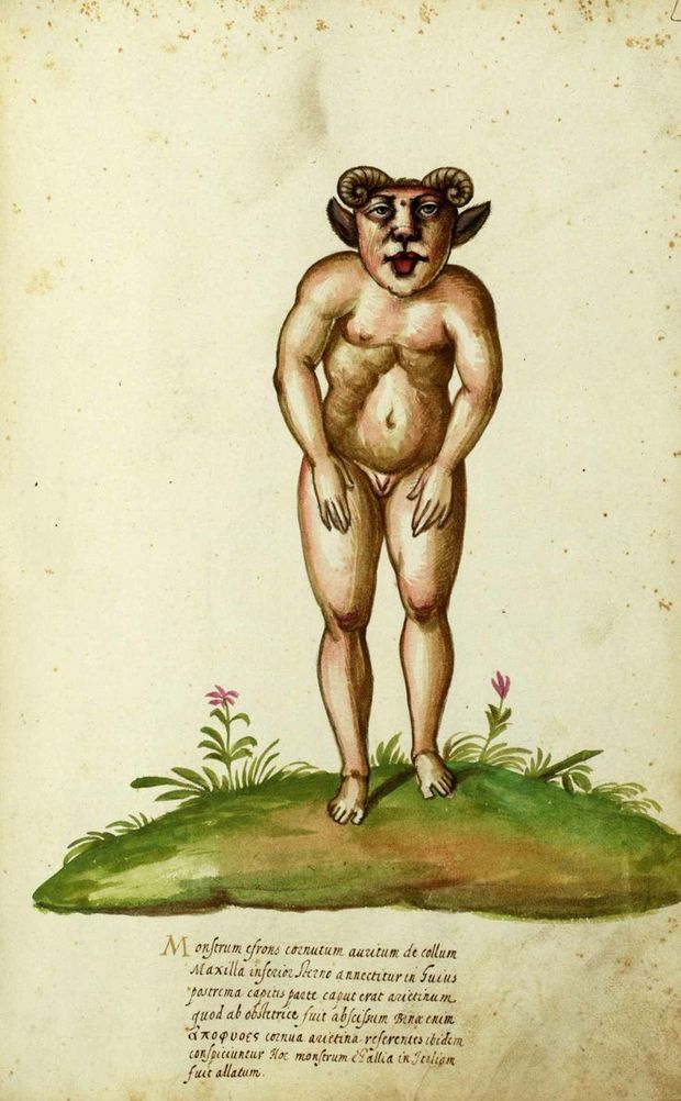 illustration