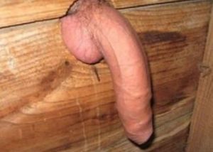 Dick & Balls (one ball stuck) Through The Hole