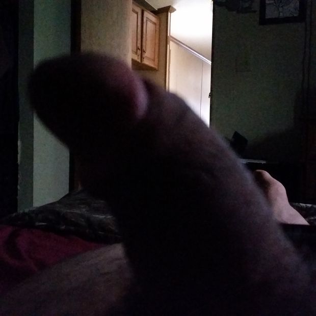 big dick in the dark
