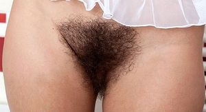 Hairy Beaver.