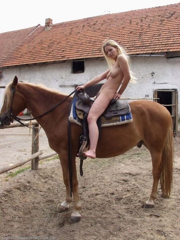 Blonde on horseback nude
