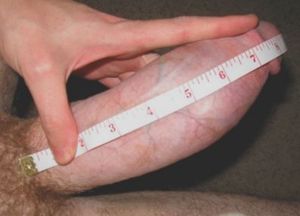 Check it out - 8 Beefy Inches & Quite Thick