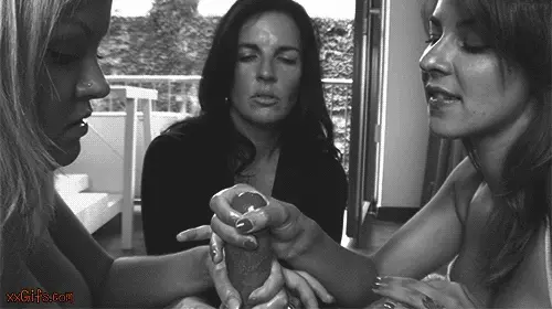 41706-love-to-be-teased.gif