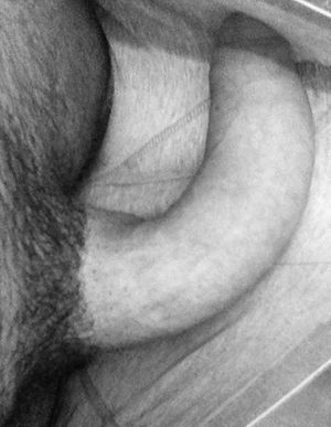 Shhhh,, Sleeping curved cock