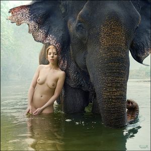 nude babe and elephant