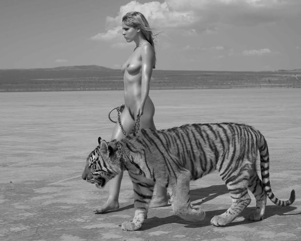 Erotica Models And Doll 17736