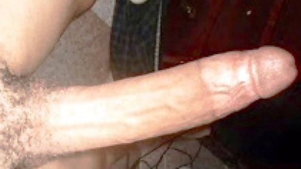 Good Day Sr. Cock
