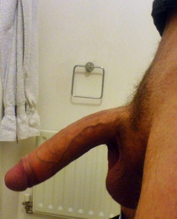 Cock Slider Free Rides