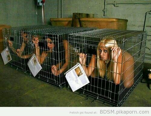 Pet Shop
