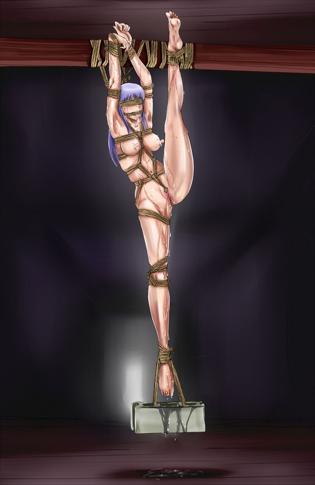Hentai suspension