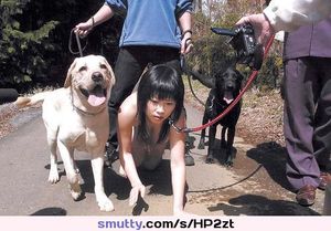 Taking My Dog and Slave for a Walk